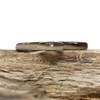 Black Lip Oyster Shell Polished 25mm Open Lacy Flower Bead