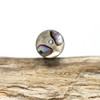 Abalone Polished 8x20mm Tube Bead
