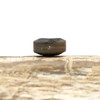Abalone Polished 8mm Faceted Coin Bead