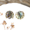 Abalone Polished 12mm Scallop Shell Bead