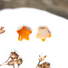 Spiny Oyster Polished 6mm Orange Star Bead