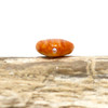 Spiny Oyster Polished 8mm Orange Heart Bead