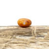 Spiny Oyster Polished 6mm Orange Heart Bead