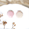 Queen Conch Shell Polished 10mm Natural Pink Shell Bead