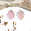 Queen Conch Shell Polished 12x15mm Natural Pink Shell Bead