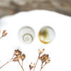 Shiva Eye Shell Polished Double Sided 8mm Puff Coin Bead