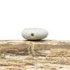 Shiva Eye Shell Polished Double Sided 8mm Puff Coin Bead