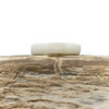Natural Shell Polished 12mm Cross Bead