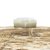Natural Shell Polished 11.5mm Flower Bead