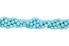Howlite Turquoise Polished 10mm Round