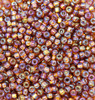 Size 8 Miyuki Seed Beads -- 634B Amber AB / Silver Lined