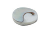 Nautilus Polished 25mm Coin Bead