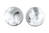 Nautilus Polished 25mm Coin Bead