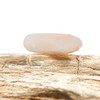 Orange Jade Polished 28x22mm Faceted Fan