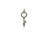 Gold Plated Micro Pave 10x28mm Ring Key Charm