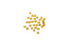 Swarovski Crystal Sunflower 5328 3mm Bicones