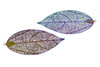 Stainless Steel 60x33mm Multi-Color Etched Leaf