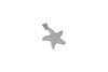 Silver Plated Micro Pave 17mm Starfish Charm