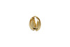 Gold Plated Zinc Alloy 12x19mm Blue Cowrie Shell Bead