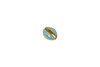 Gold Plated Zinc Alloy 8x10mm Blue Cowrie Shell Bead