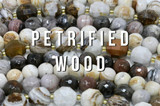 Petrified Wood