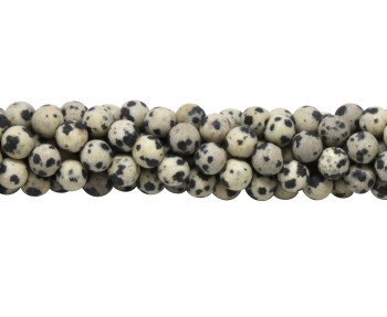 Dalmatian Jasper Matte 6mm Round