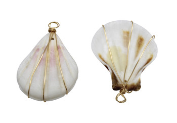 Natural Scallop Shell 18K Gold Plated Wrapped Pendant