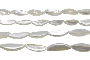 Garlic Troca Shell Polished 10x20mm