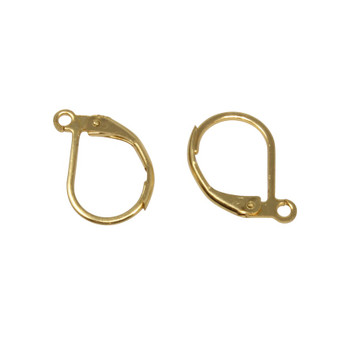 Gold Plated Stainless Steel Leverback Earrings - 1 Pair