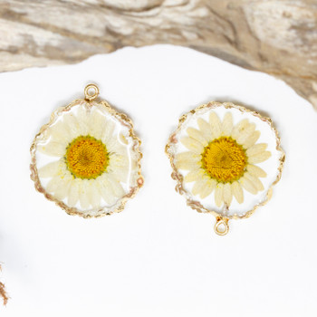 Resin 30mm Dried Daisy Flat Round Pendant