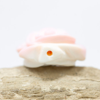 Queen Conch Shell Natural Pink AAA Grade 20mm Carved Double Sided Rose