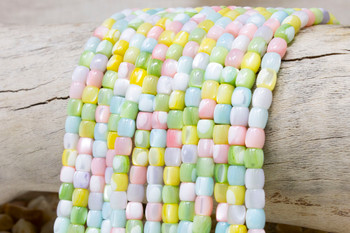 Natural Shell Polished Dyed Pastel Colored 6mm Column