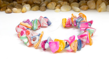 Natural Troca Polished Shell Multi Colored Dyed Chips / Nugget