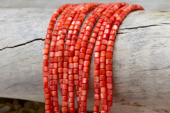 Natural Shell Coral Dyed 3.5mm Polished Drum