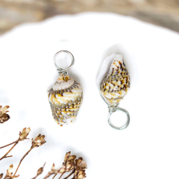 Silver  Wrap 14x8mm Spiral Shell Small