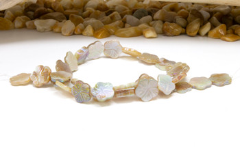 Natural Shell Two Tone 13mm AB Polished Flower