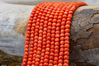 Orange Coral Polished 4x5.7mm Rondelle