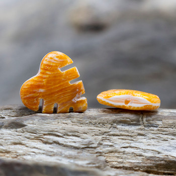 Spiny Oyster Polished 20x20mm Double Sided Leaf Bead