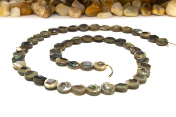 Abalone Shell A Grade 8mm Faceted Coin