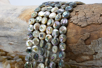 Abalone Shell A Grade 8mm Faceted Coin