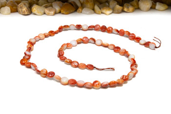 Spiny Oyster Polished 6mm Orange / Peach Puffy Coin
