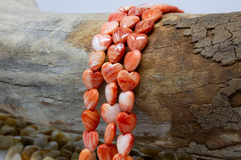 Spiny Oyster Polished 10mm Orange / Peach Heart