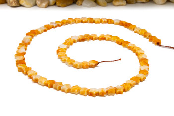 Spiny Oyster Polished 6mm Orange Star