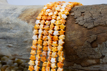 Spiny Oyster Polished 6mm Orange Star