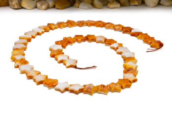 Spiny Oyster Polished 6mm Orange Star