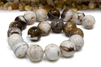 Petrified Wood Polished 20mm Round
