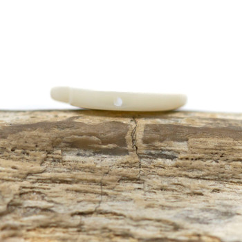 Mother of Pearl A Grade Polished 15mm Duck Bead