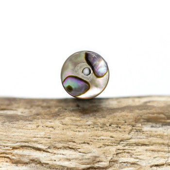 Abalone Polished 8x20mm Tube Bead