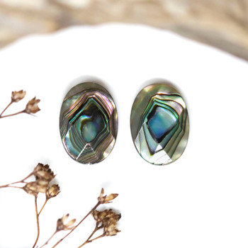 Abalone Polished 10x14mm Faceted Oval Bead
