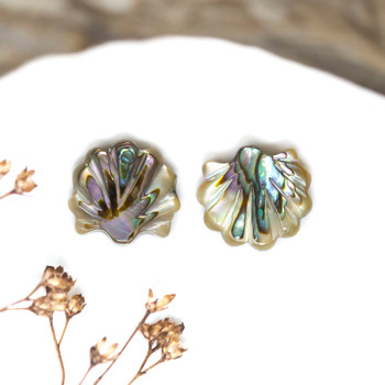 Abalone Polished 12mm Scallop Shell Bead